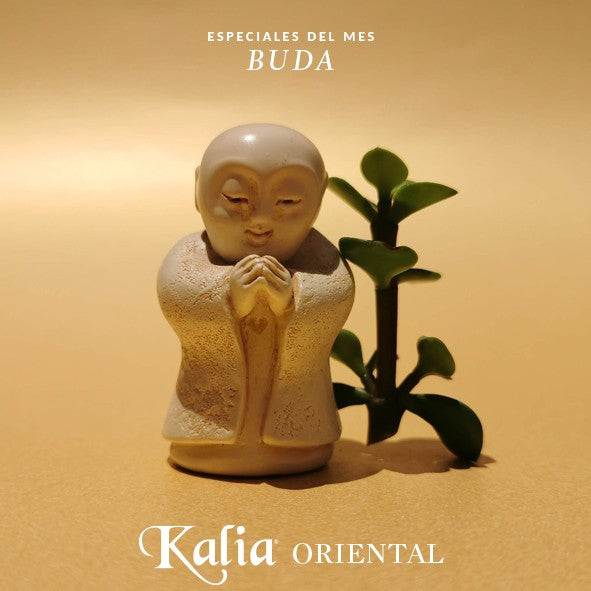Mini Buda