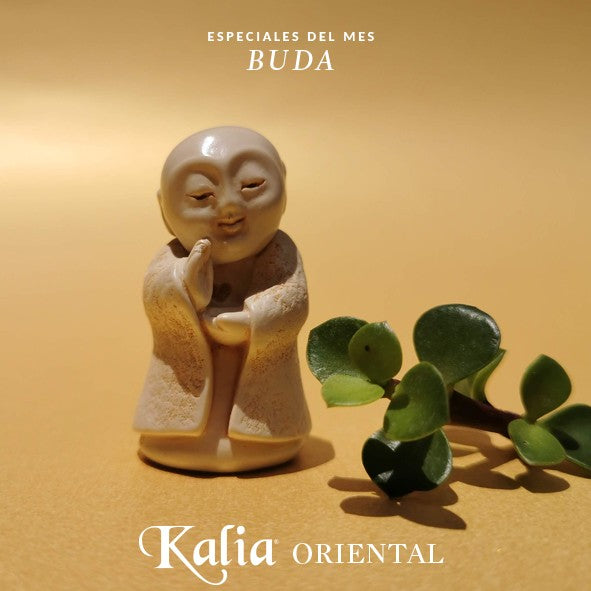Mini Buda